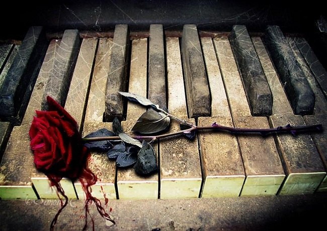 Алексей Поликханов Викторович | Санкт-Петербург