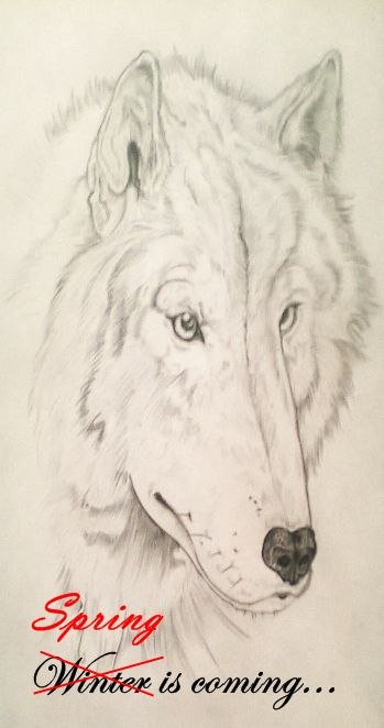 Мария Медведева | Харьков