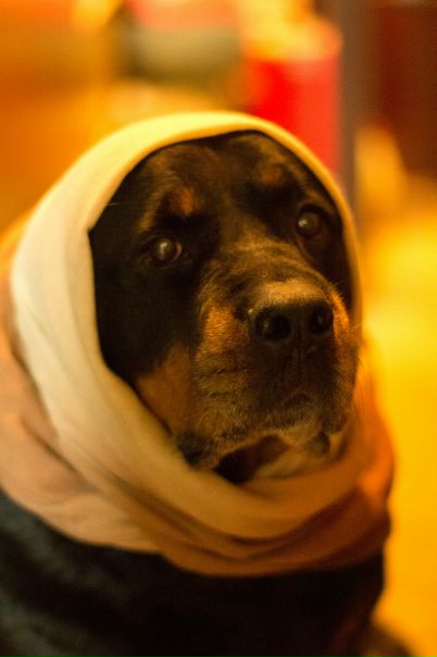 №77, Ксения Амбер, Одесса №77, Ксения Амбер, Одесса