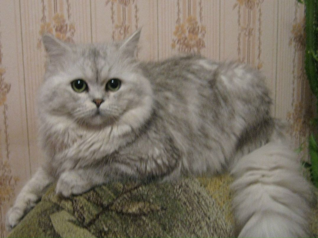 Наталья Яцко | Мончегорск