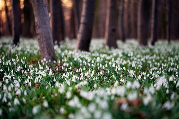 Евгений Погребной | 