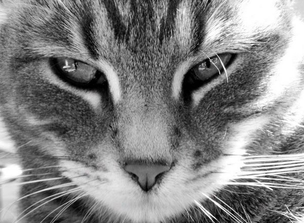 Серёга Кравченко | Орск