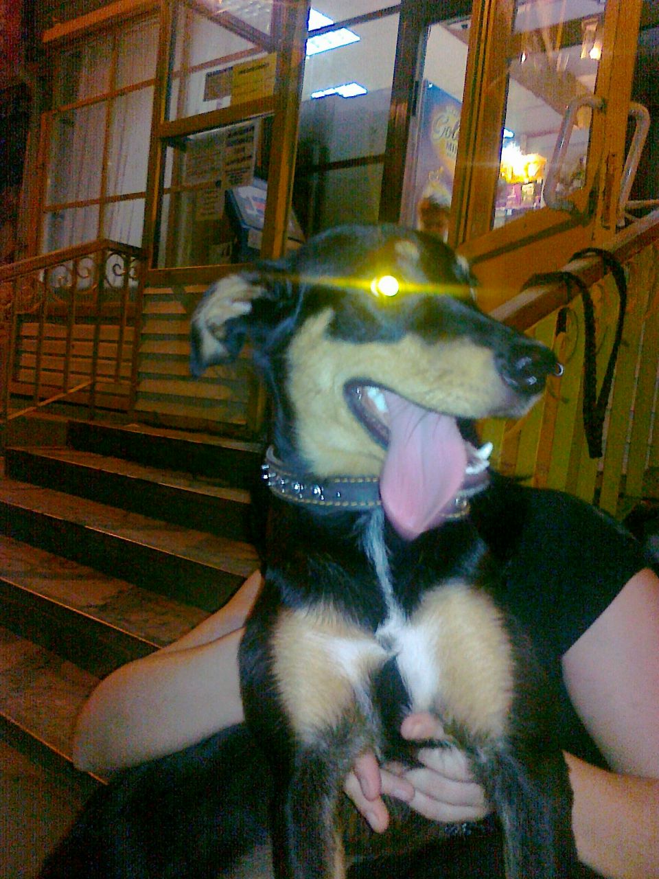 Владимир Усачев | 