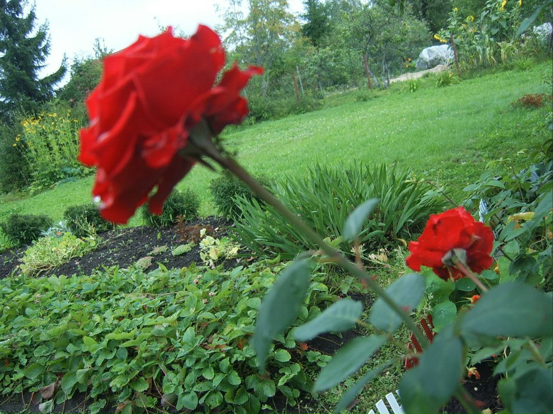 Жанна Шокун | Санкт-Петербург