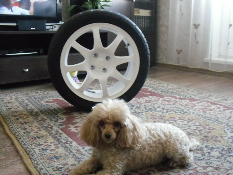 Иван Шавыркин 