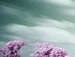 Людмила Шуткина фотография #17