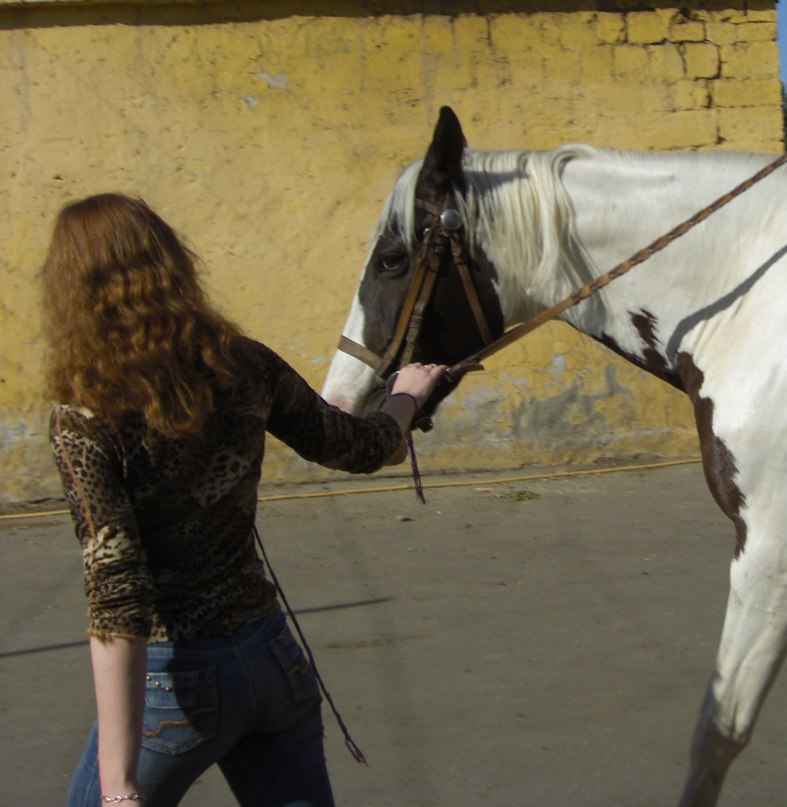 Елена Тумановская-Оборина | 