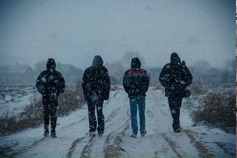 Петя Заяць | Львов