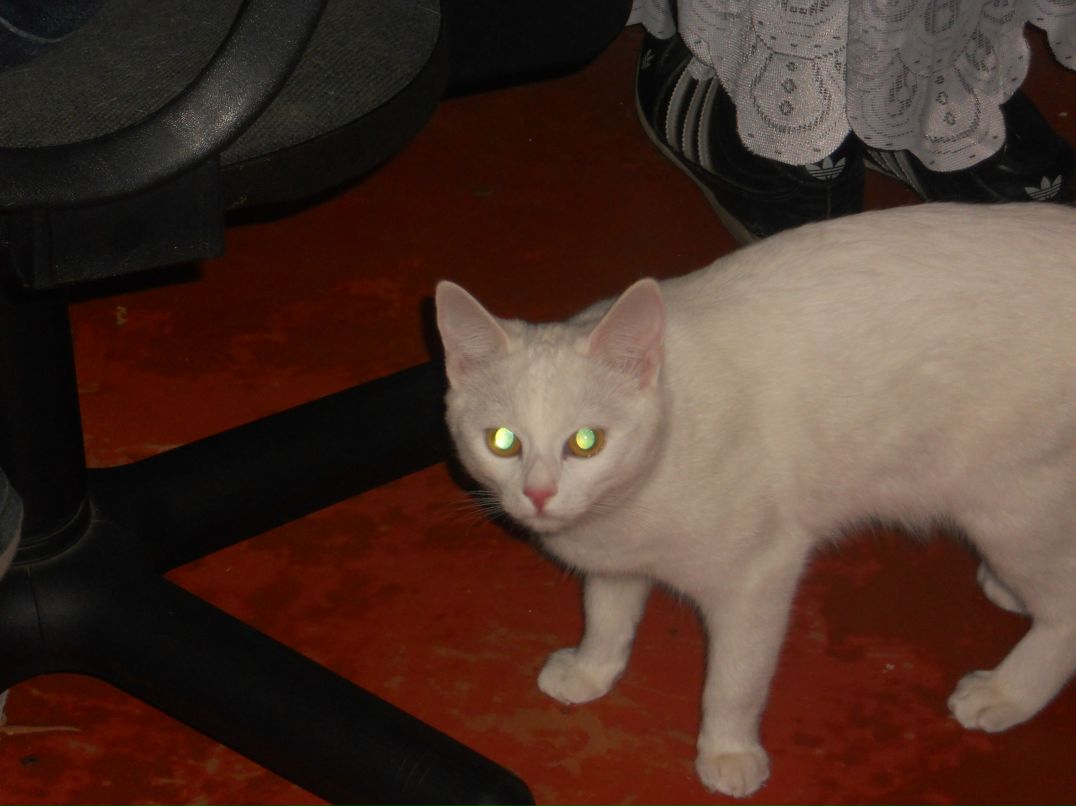 Максим Яновский *MAX* | Николаев