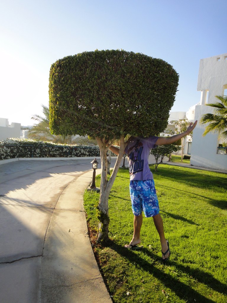 Дмитрий Харламов | Москва