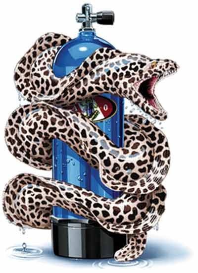 Алексей Хохлов | Донецк