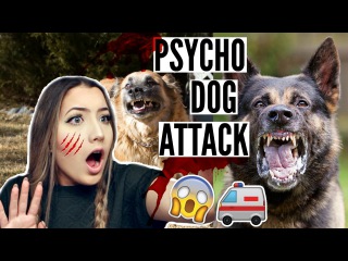 NEIGHBORS DOG ATTACKED US, HORROR