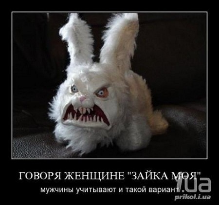 №5, Серега Притыченко, 38 лет, Новосибирск, Россия №5, Серега Притыченко, 38 лет, Новосибирск, Россия