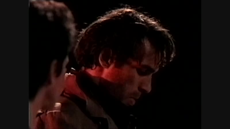 Филин The Owl by