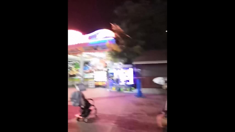 Светлана Климина