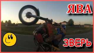 НАВАЛИВАЕМ НА ЗАДНЕМ КОЛЕСЕ НА МОТОЦИКЛЕ | ЯВА ПОД Stunt|