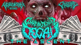 Dimensional Decay - The Ascent Single (2019)