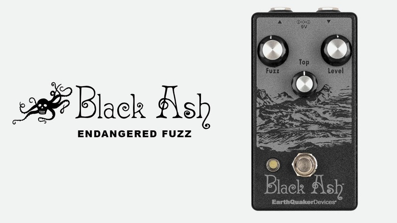Earth Quaker Devices Black Ash Endangered