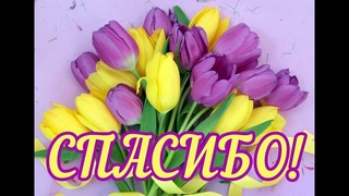 “Спасибо, ученик и спасибо, учитель!“