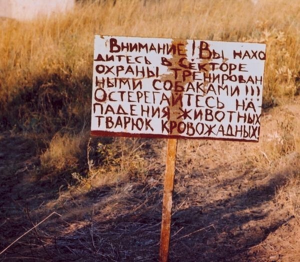 №9, Надежда Волкова №9, Надежда Волкова