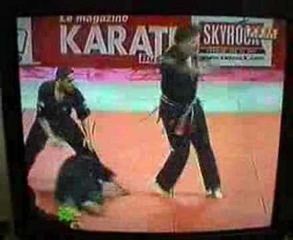 Jeff Speakman Kenpo In  Paris