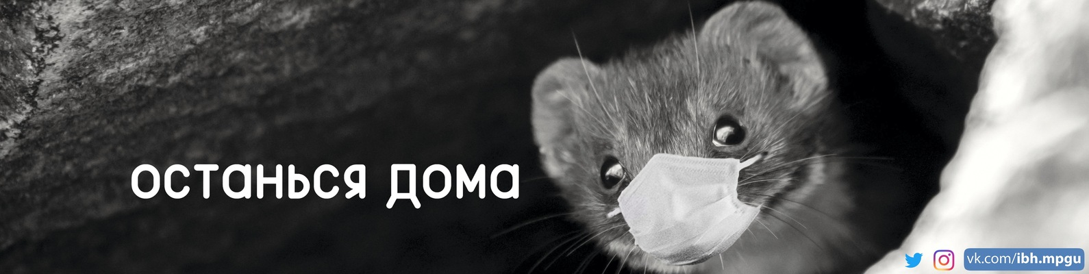 Институт биологии и химии МПГУ ВКонтакте