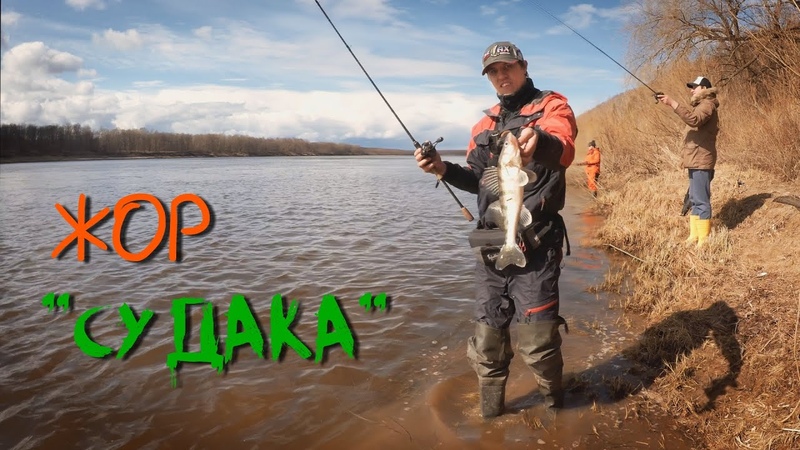 ПОПАЛИ на клев СУДАКА, Отличная рыбалка Рыбалка со