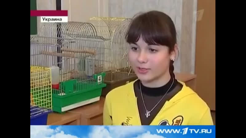 Как детей раз и на всегда отучить от нездоровой