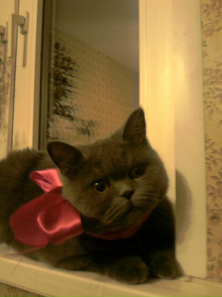 №81, Лейла Хурматуллина, 29 лет, Казань №81, Лейла Хурматуллина, 29 лет, Казань