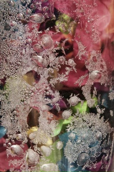 №2, Александра Щурёнок №2, Александра Щурёнок