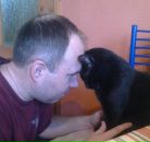 №4 Дмитрий Аршанский : профиль, фото, статус - ВКонтакте