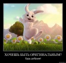 Катя Кирошка, , 