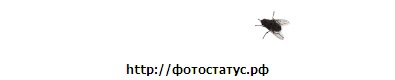 №67, Дмитрий Саламатов, 38 лет, Чернигов №67, Дмитрий Саламатов, 38 лет, Чернигов