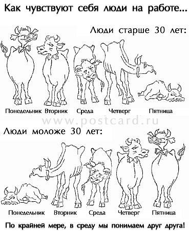 №25, Надя Тірон, Тернополь №25, Надя Тірон, Тернополь