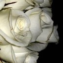 №16 Альбина Хазипова 01.04.1998: профиль, фото, статус - ВКонтакте