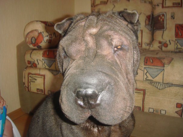 №131, Александр Лучицкий, 38 лет, Санкт-Петербург №131, Александр Лучицкий, 38 лет, Санкт-Петербург