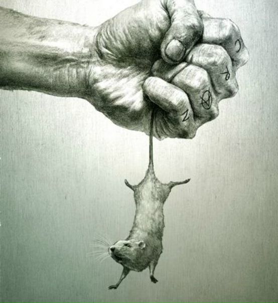 №88, Maks Zylicki, 38 лет, Минск №88, Maks Zylicki, 38 лет, Минск