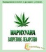 Жека Осніцький фотография #40