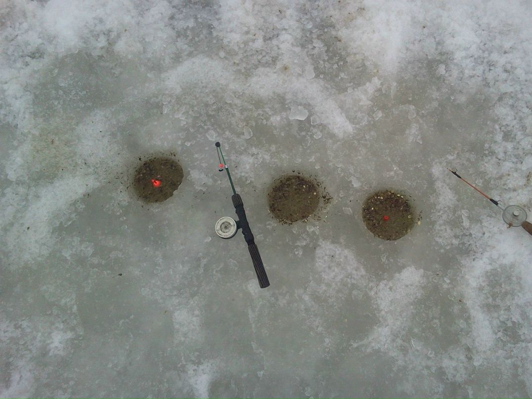 Юра Ляшенко | Ростов-на-Дону