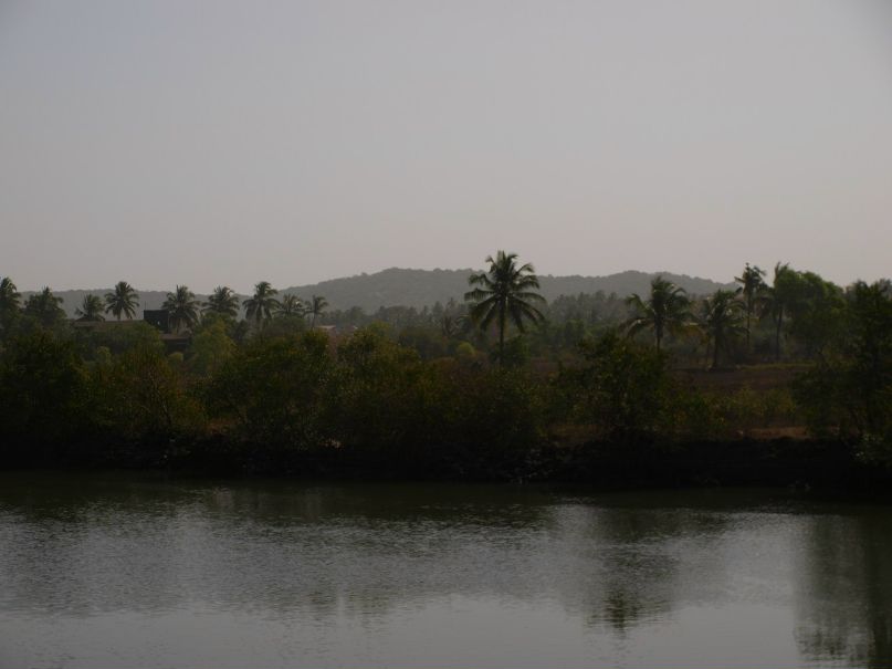 Вадим Смирнов | Санкт-Петербург