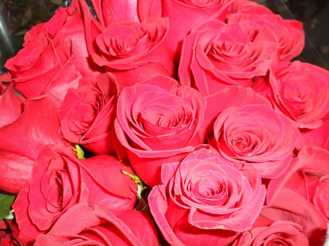 Наталя Безгина | Москва