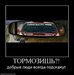 Ольга Садошук фотография #31
