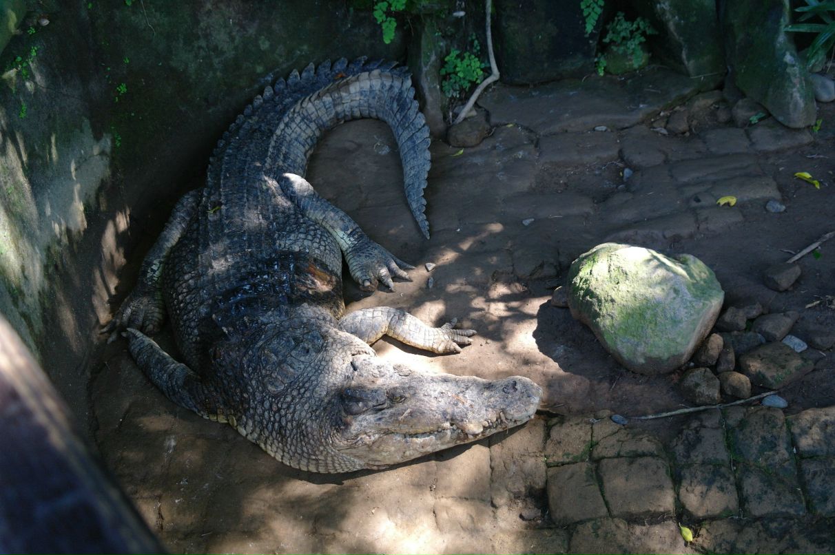Владимир Катериночкин | Зеленоград