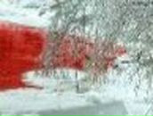 Ирина Новикова (KissMoon) | Кимры