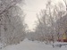 Дашуська Ефремушка фотография #16 (источник - https://vk.com/id147659467)