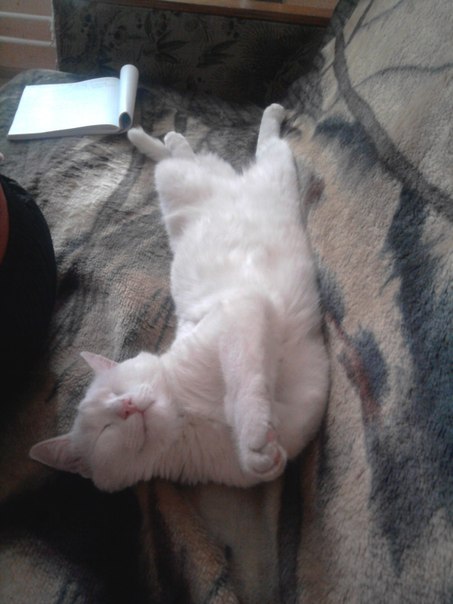 №73, Евгений Семенов, Прокопьевск №73, Евгений Семенов, Прокопьевск