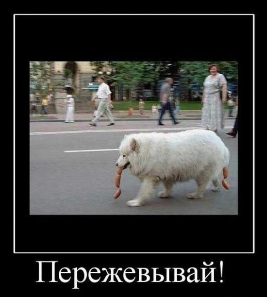 Егор Рудов ♪♫٩(̾●̮̮̃̾•̃̾)۶♪♫ | Молодечно