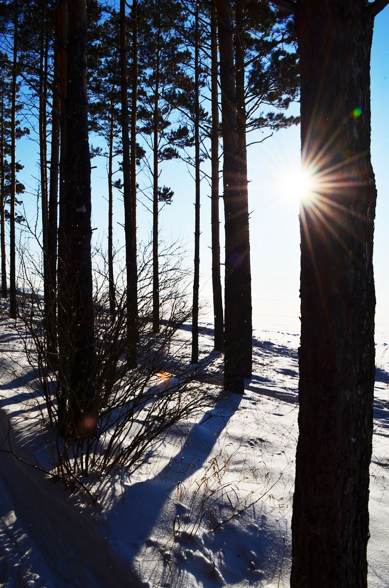 Анна Николаева | Бердск