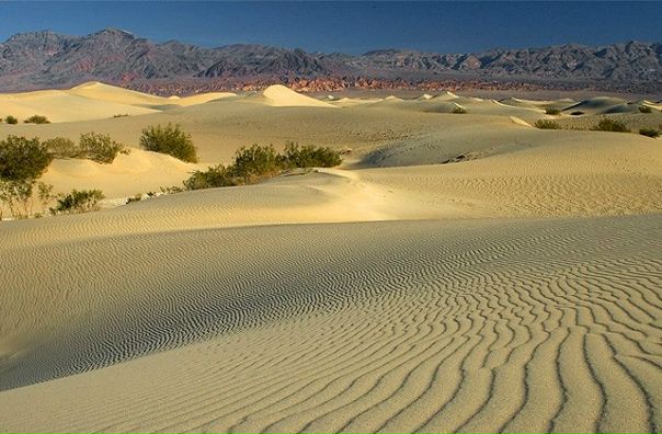 №47, Алиса Нейман №47, Алиса Нейман