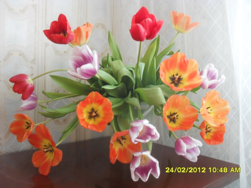 Таня Тагакова | Новосибирск